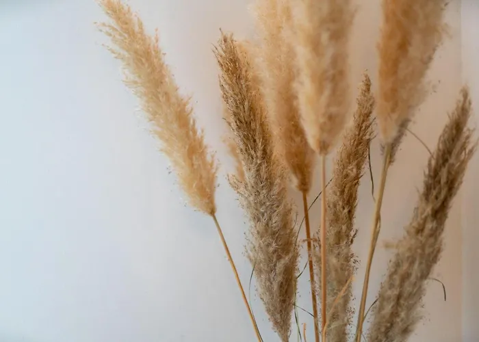 Ferienhaus-am-osterberg *